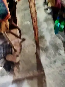 Snapshot of crazyxy12 chatting on 4, 3, 2026 crazyxy12 online show from 4, 3, 2026