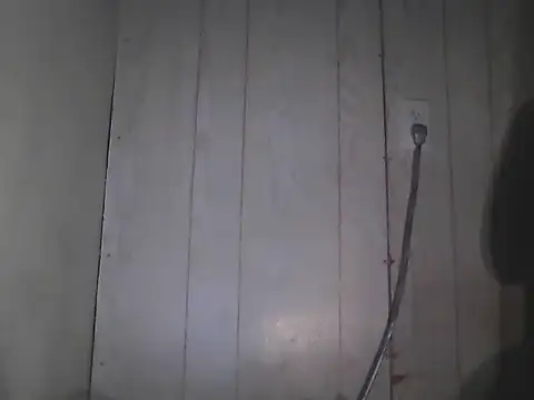 Prikev38452 online show from 5, 4, 2026