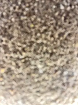 Namipeitudinha online show from 16, 2, 2026