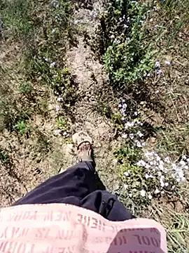 Sharmasamba online show from 25, 3, 2026