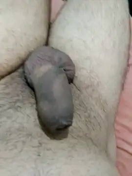 Snapshot of putopau15 chatting on 2, 4, 2026 putopau15 online show from 2, 4, 2026