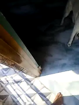 rubitrides11 online show from 18, 2, 2026