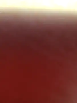 alex callmemaybe69 online show from 16, 2, 2026