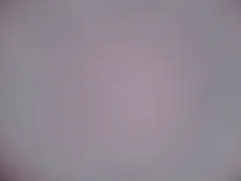 Snapshot of Luanatrav1 chatting on 21, 2, 2026 Luanatrav1 online show from 21, 2, 2026