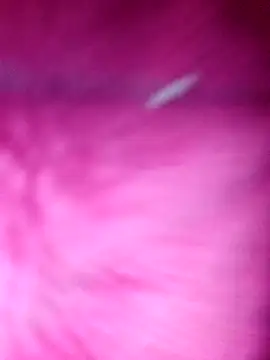 Hellentrans24 online show from 25, 3, 2026