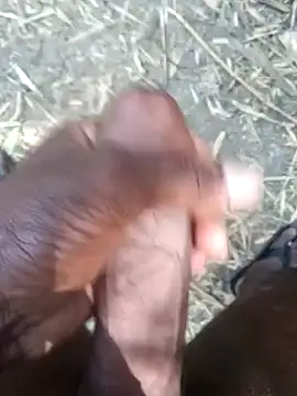 kalai 32 online show from 17, 2, 2026