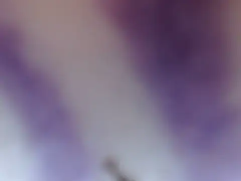 Snapshot of ELIZA_01 chatting on 8, 2, 2026 ELIZA 01 online show from 8, 2, 2026