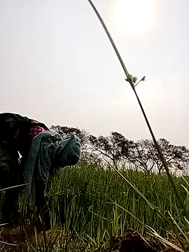 Royal hotti0011 online show from 17, 3, 2026