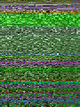 Snapshot of Adriputinha chatting on 9, 5, 2026 Adriputinha online show from 9, 5, 2026