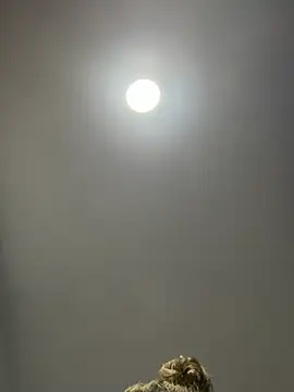 Snapshot of Angelicalove07 chatting on 1, 3, 2026 Angelicalove07 online show from 1, 3, 2026