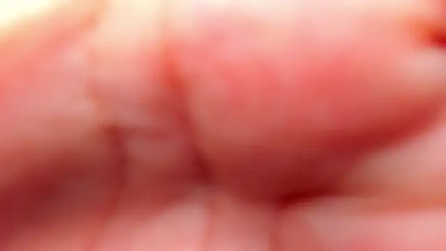 Snapshot of RinaFox__ chatting on 21, 2, 2026 RinaFox online show from 21, 2, 2026