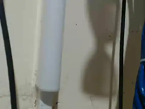 Snapshot of Charming_lexi chatting on 4, 2, 2026 Charming lexi online show from 4, 2, 2026