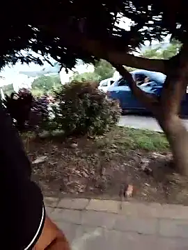 Andres sant  online show from 8, 4, 2026