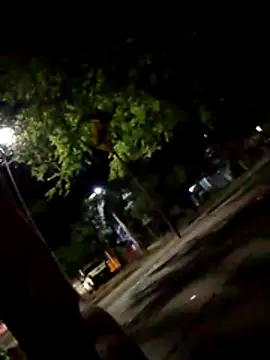 Andres sant  online show from 12, 4, 2026