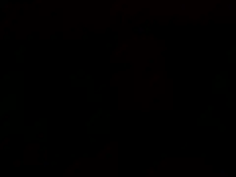 Tommyzzzzzz online show from 29, 12, 2024