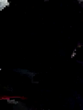 jenny 9 online show from 12, 3, 2026