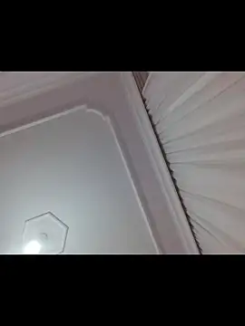 boraaily online show from 19, 2, 2026