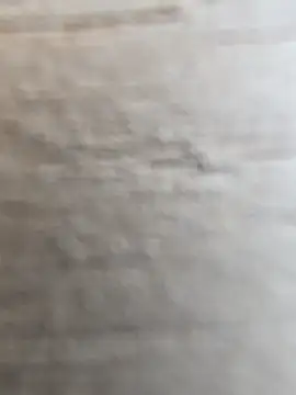 manish 8826 online show from 12, 2, 2026