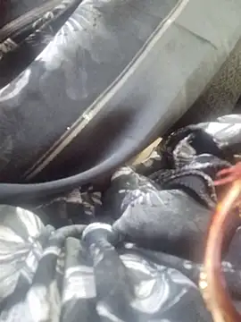 SexybeboX online show from 19, 3, 2026