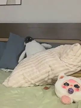 Rin-yiyi online show from 8, 3, 2026