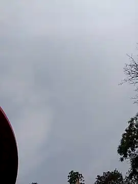 Linka998 online show from 5, 4, 2026