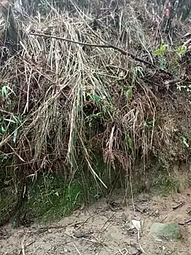 aiai220 online show from 25, 3, 2026