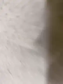 Snapshot of chennai_sexyboy chatting on 8, 2, 2026 chennai sexyboy online show from 8, 2, 2026