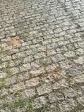 Snapshot of DiamanteNegro90 chatting on 7, 4, 2026 DiamanteNegro90 online show from 7, 4, 2026