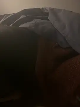 harleyquin00 online show from 14, 2, 2026