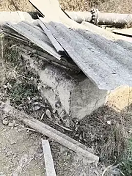 Janu-20 online show from 14, 3, 2026