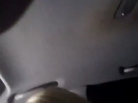 dustbunny64 online show from 22, 7, 2026