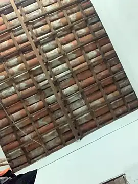 Navresseed online show from 18, 4, 2026