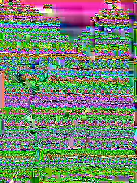 violet-grey online show from 13, 7, 2026