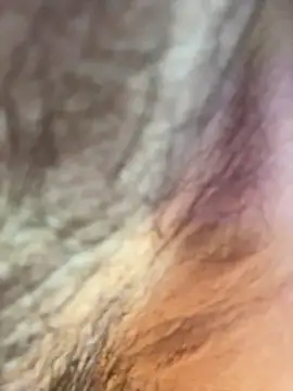 Karim mansur online show from 16, 3, 2026