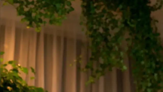 Snapshot of TheMaddisonShow_ chatting on 4, 3, 2026 TheMaddisonShow online show from 4, 3, 2026