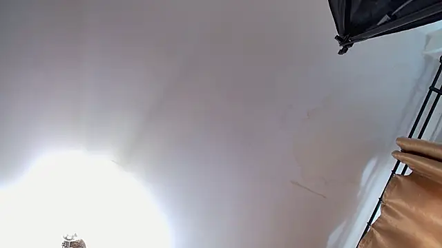 VioletVIP online show from 12, 3, 2026