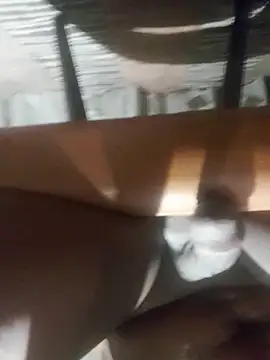 Cookiesucker2025 online show from 15, 3, 2026