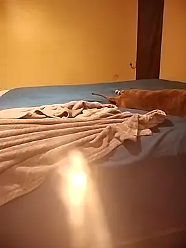 MissBella0969 online show from 4, 4, 2026