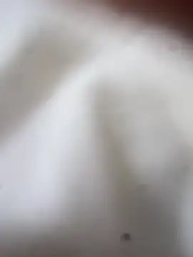 Snapshot of Jaybraconect chatting on 21, 2, 2026 Jaybraconect online show from 21, 2, 2026