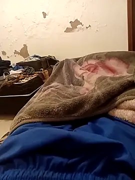 Mineirinho 85 online show from 12, 4, 2026