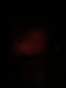 Snapshot of peanutbutteater chatting on 9, 6, 2026 peanutbutteater online show from 9, 6, 2026