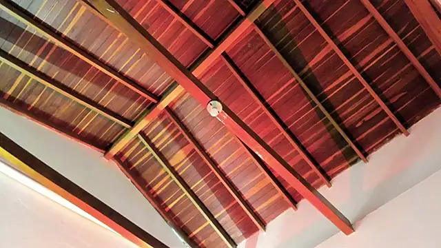 TonyPetrovjs online show from 3, 4, 2026