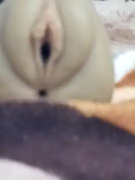 Mikecrazyhy online show from 25, 2, 2026