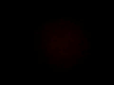 wifedesi7050 online show from 7, 4, 2026