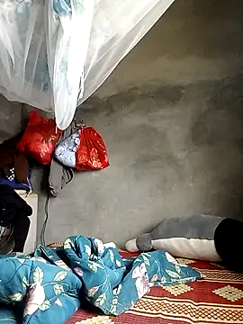 elen8800 online show from 2, 3, 2026