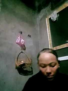 elen8800 online show from 25, 3, 2026