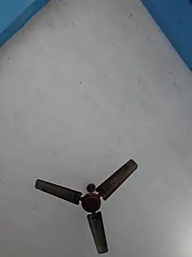 67sanju online show from 25, 2, 2026