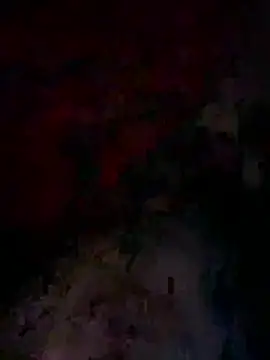 Snapshot of bwcyoussef chatting on 27, 2, 2026 bwcyoussef online show from 27, 2, 2026