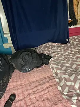 Melissa-Schneider online show from 5, 4, 2026