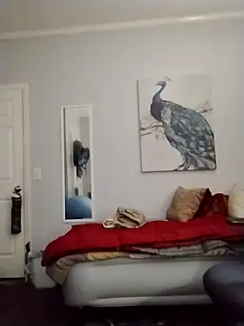 coestet online show from 19, 4, 2026